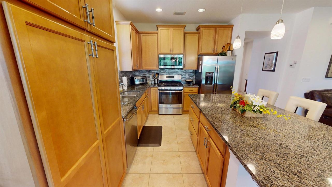 12451-SW-Weeping-Willow-04272026_065447