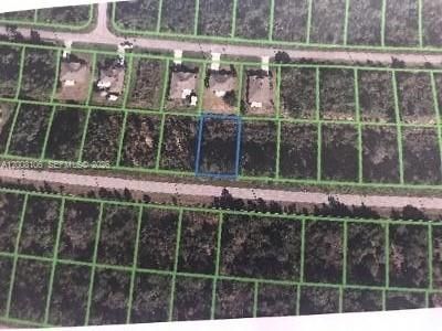 Arial View