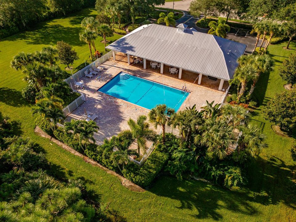 Serenoa_ (4)