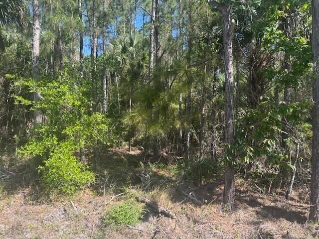 gshr1easement