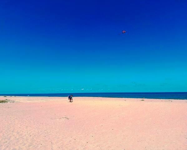 Ocean Beach
