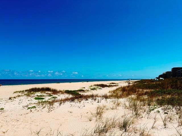 Ocean Beach
