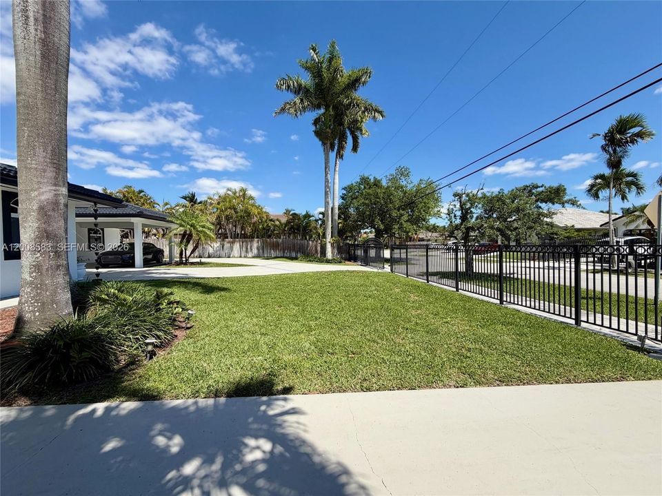 Front yard