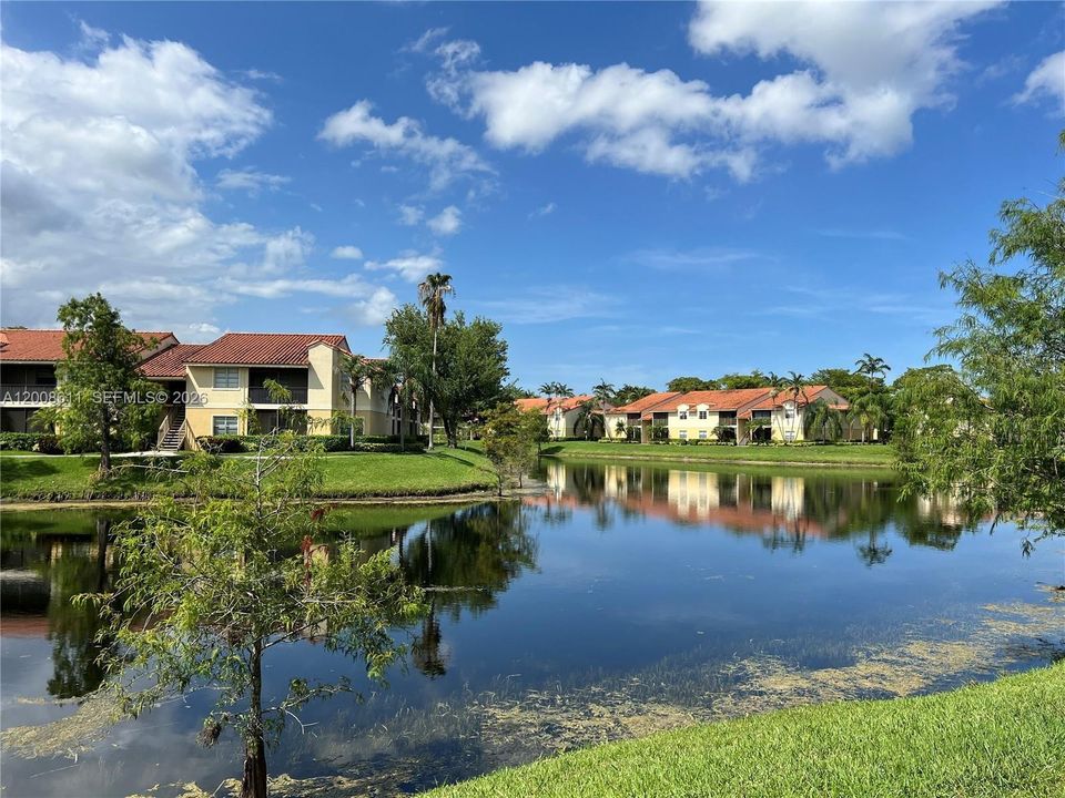 Active With Contract: $1,600 (1 beds, 1 baths, 785 Square Feet)