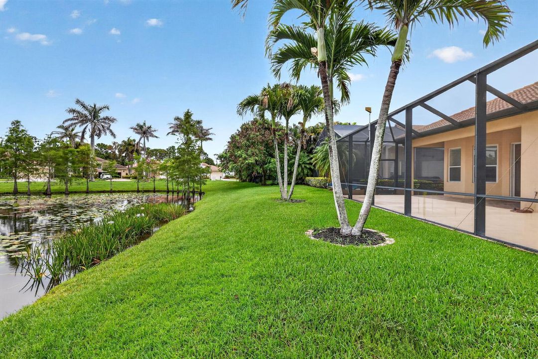 47-web-or-mls-5P1A4043