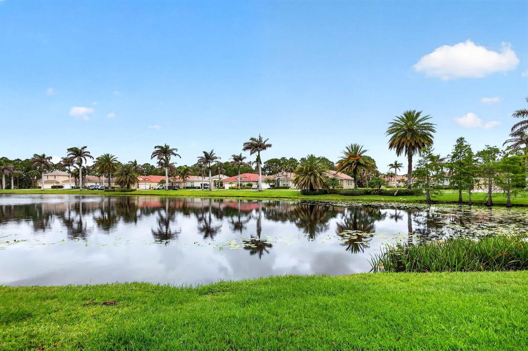 45-web-or-mls-5P1A4033