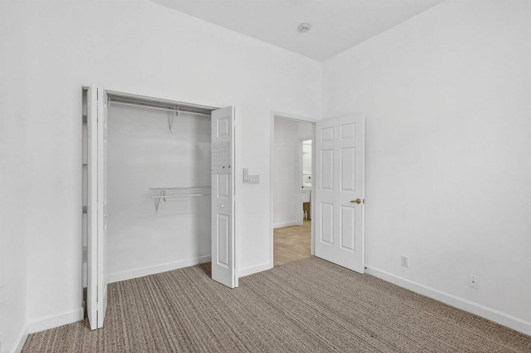 31-web-or-mls-5P1A4148