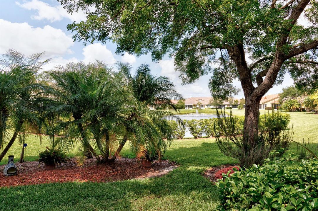 Private Backyard
