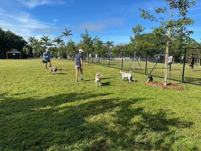 jaycee dog park 2