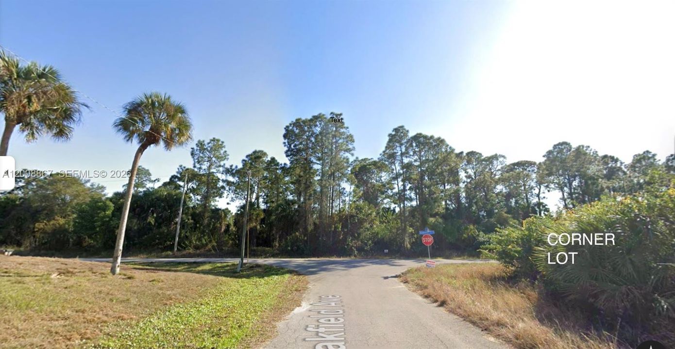 待售: $35,000 (0.30 acres)