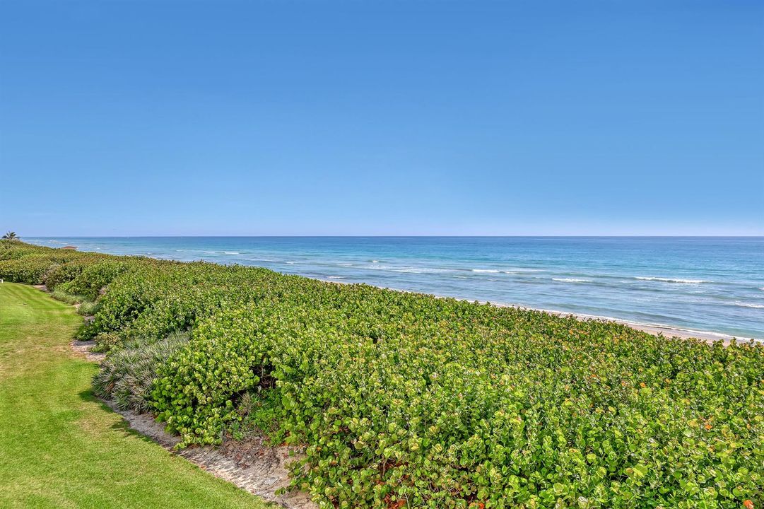 7430 S Ocean #319 (30)