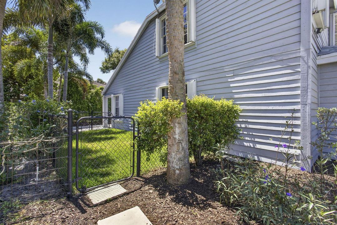 Side Yard