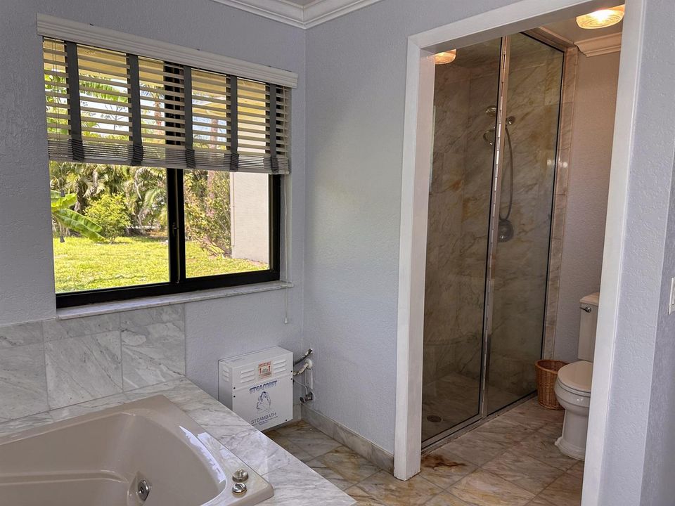 Steam shower