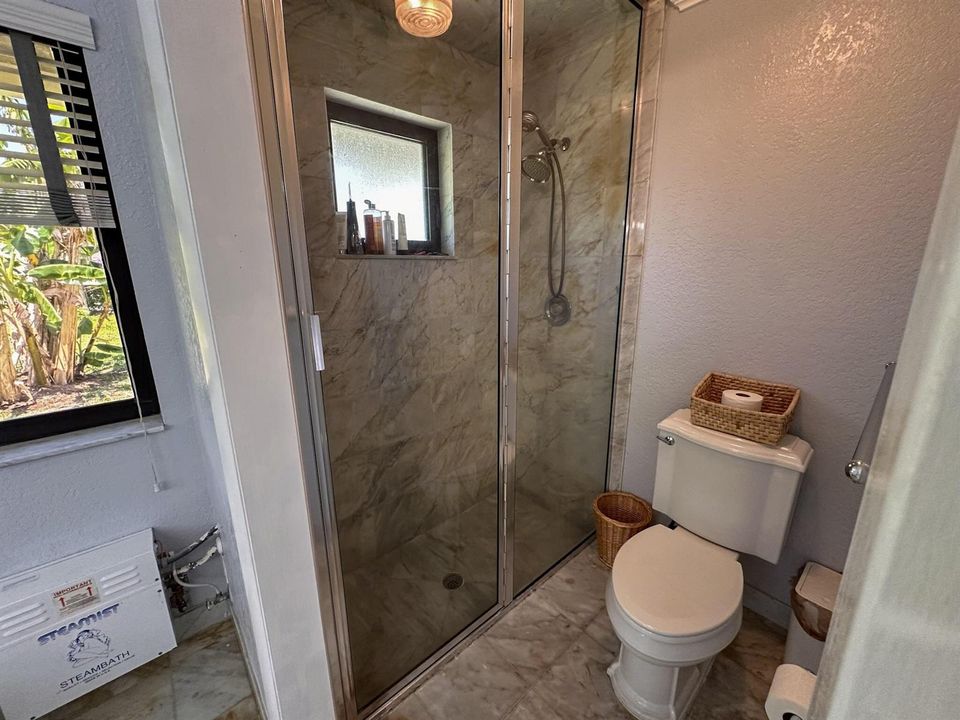 Steam shower
