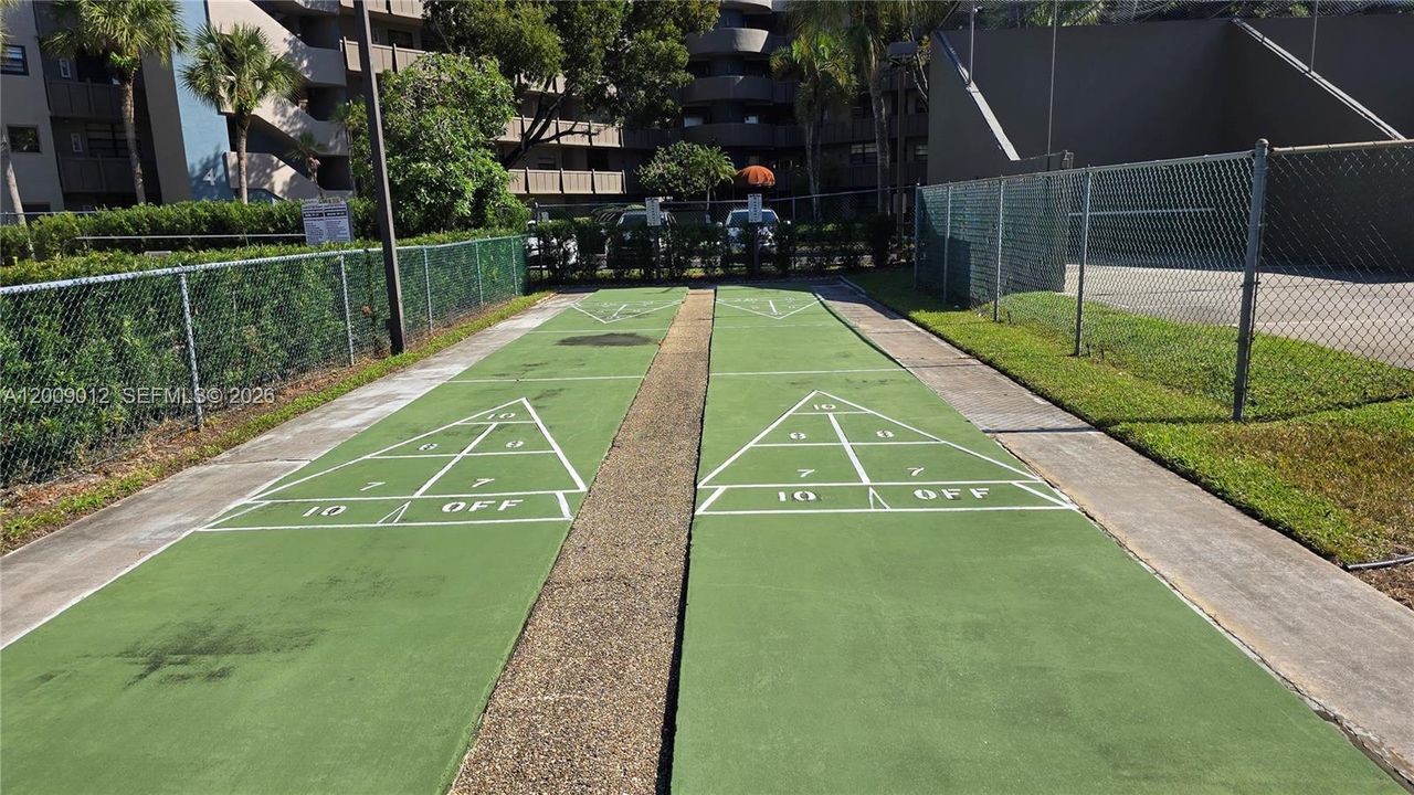 Shuffleboard