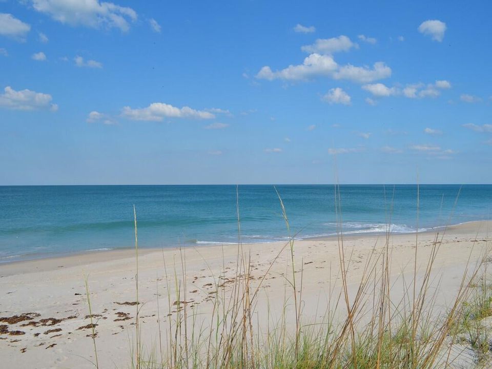 Image00050
