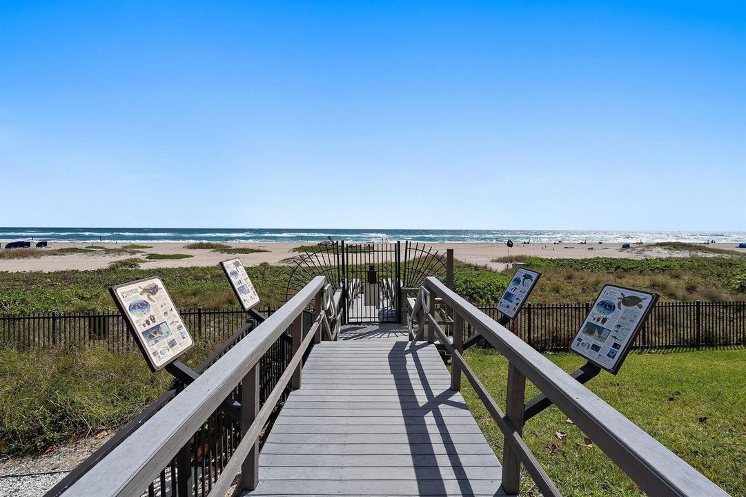 Beach walk