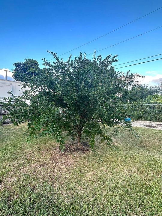 En Venta: $695,000 (4 camas, 2 baños, 2143 Pies cuadrados)