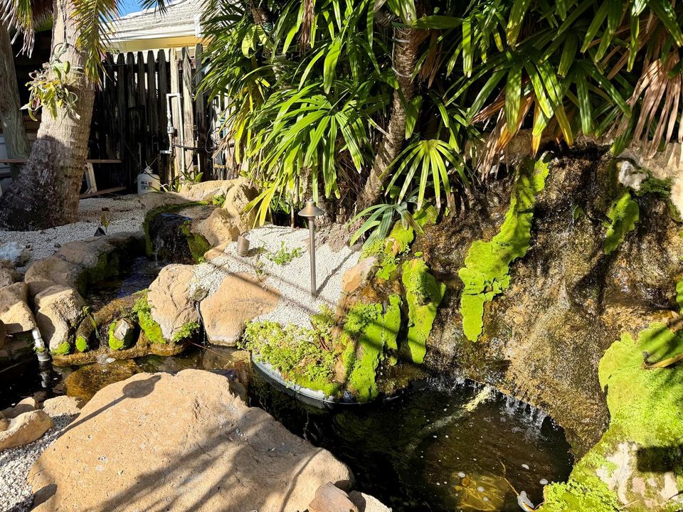 Pond/Water Feature