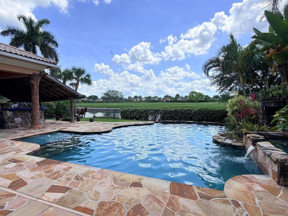 Backyard 1
