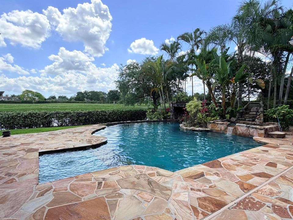 Backyard 2