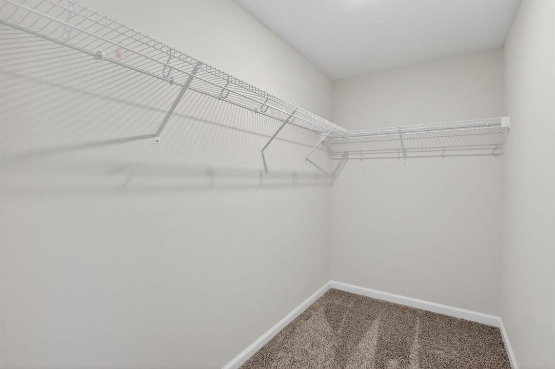 31-web-or-mls-5P1A4352