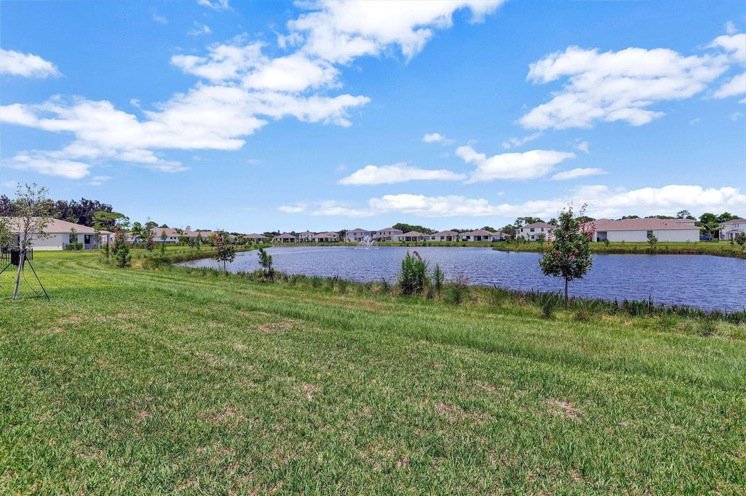 38-web-or-mls-632A1326