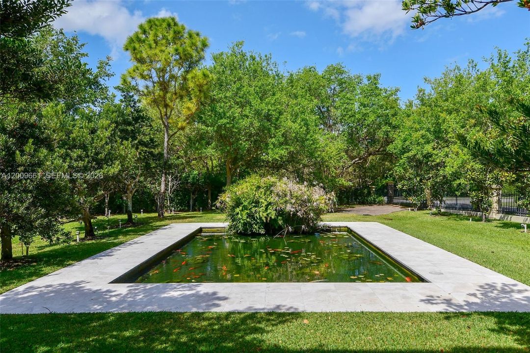Koi Pond