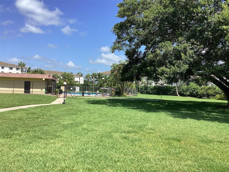 Area