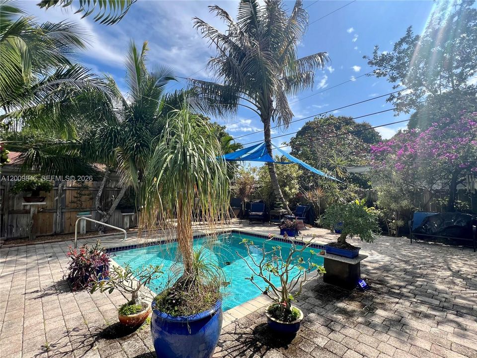 For Sale: $185,000 (1 beds, 1 baths, 429 Square Feet)