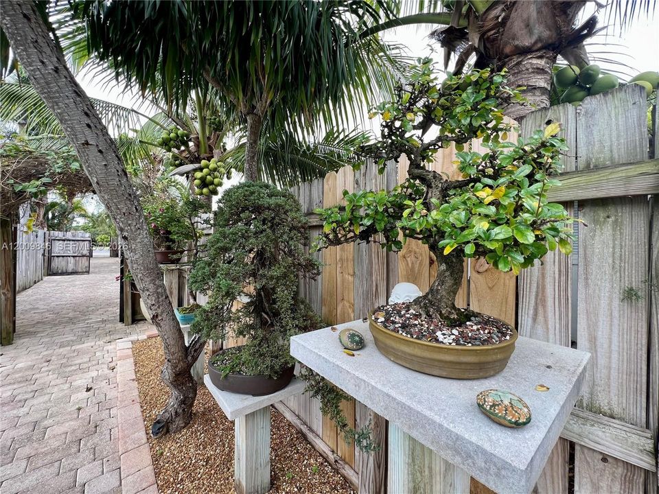 For Sale: $185,000 (1 beds, 1 baths, 429 Square Feet)