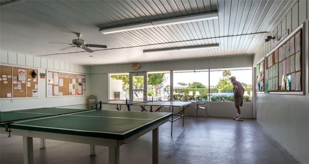 PING PONG