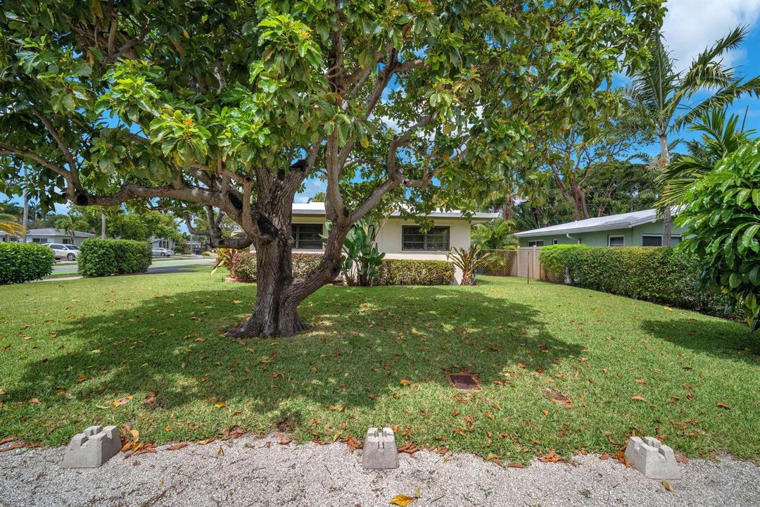 31-web-or-mls-DSC06804