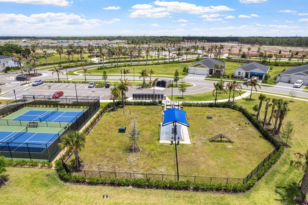 DJI_0580