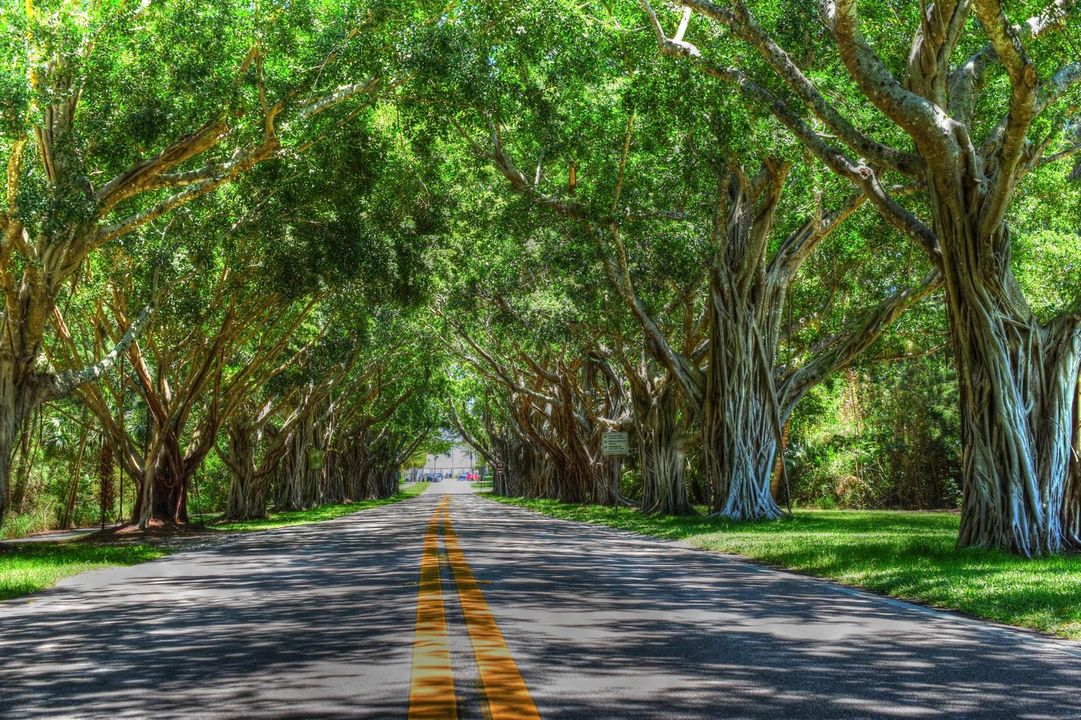 Nearby Hobe Sound