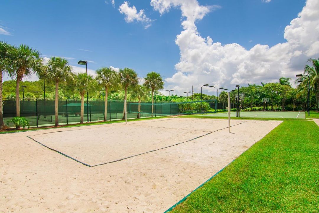 Local Beach Volleyball