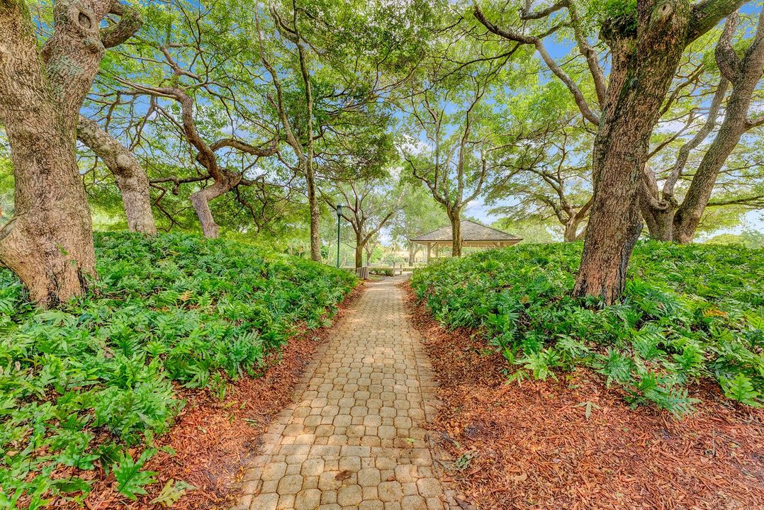 Walking trails