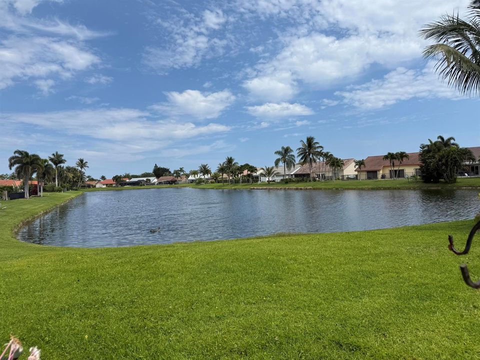 the lake