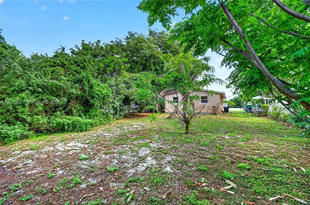Large yard