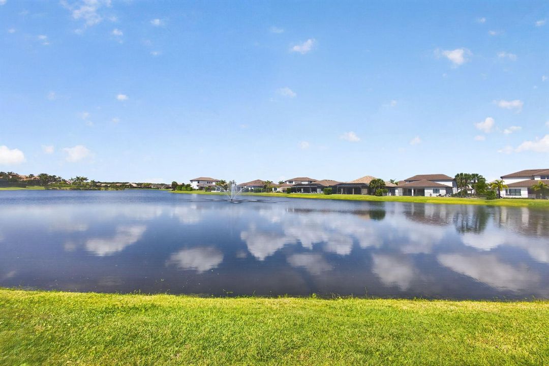 80-web-or-mls-5D1A8195