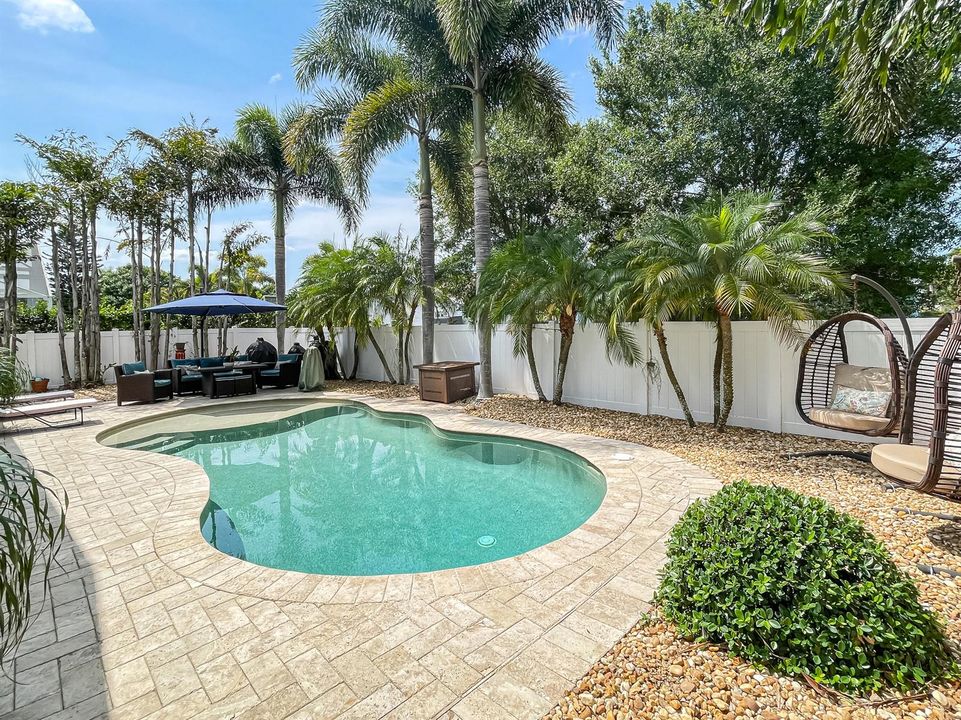 Pool & patio