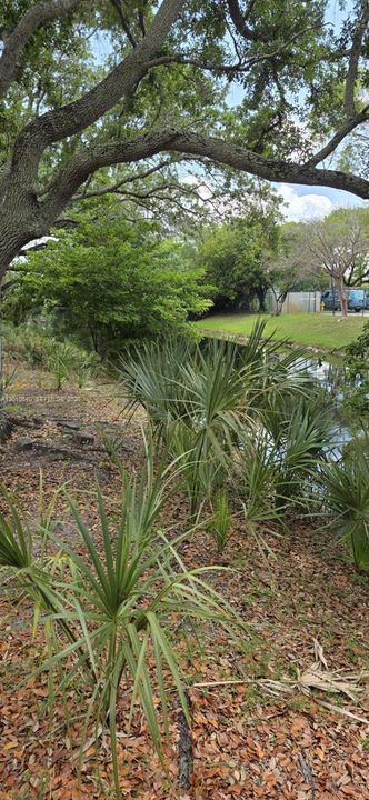 Active With Contract: $3,500 (0 beds, 0 baths, 0 Square Feet)