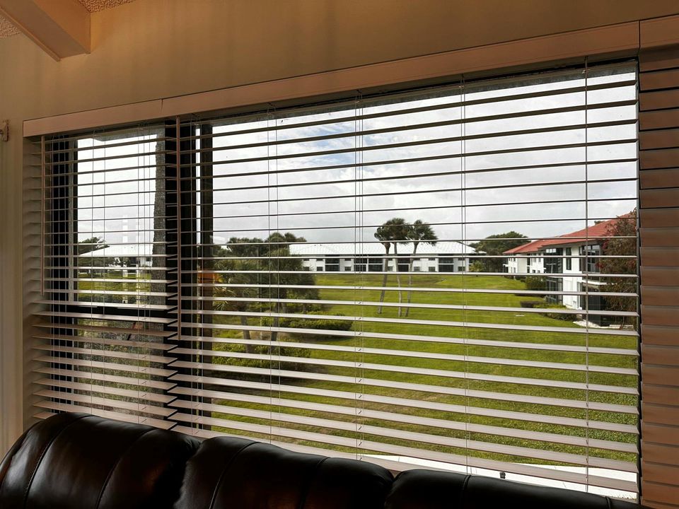 View from Living Room End/Side Windows