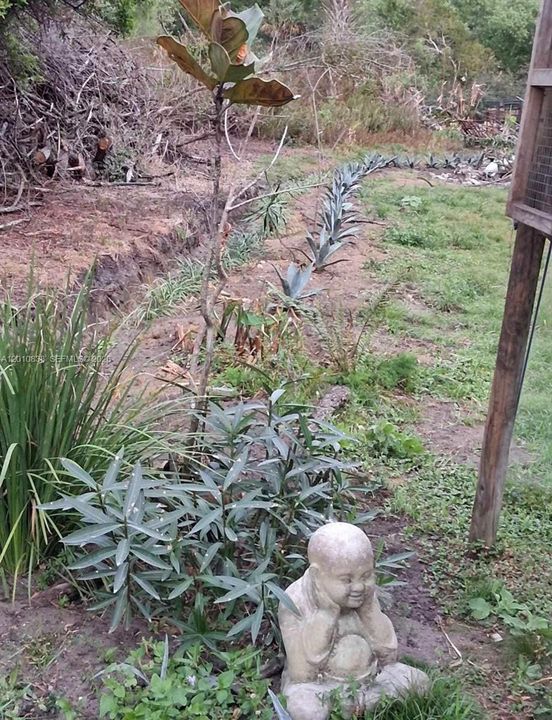 En Venta: $97,000 (1.25 acres)