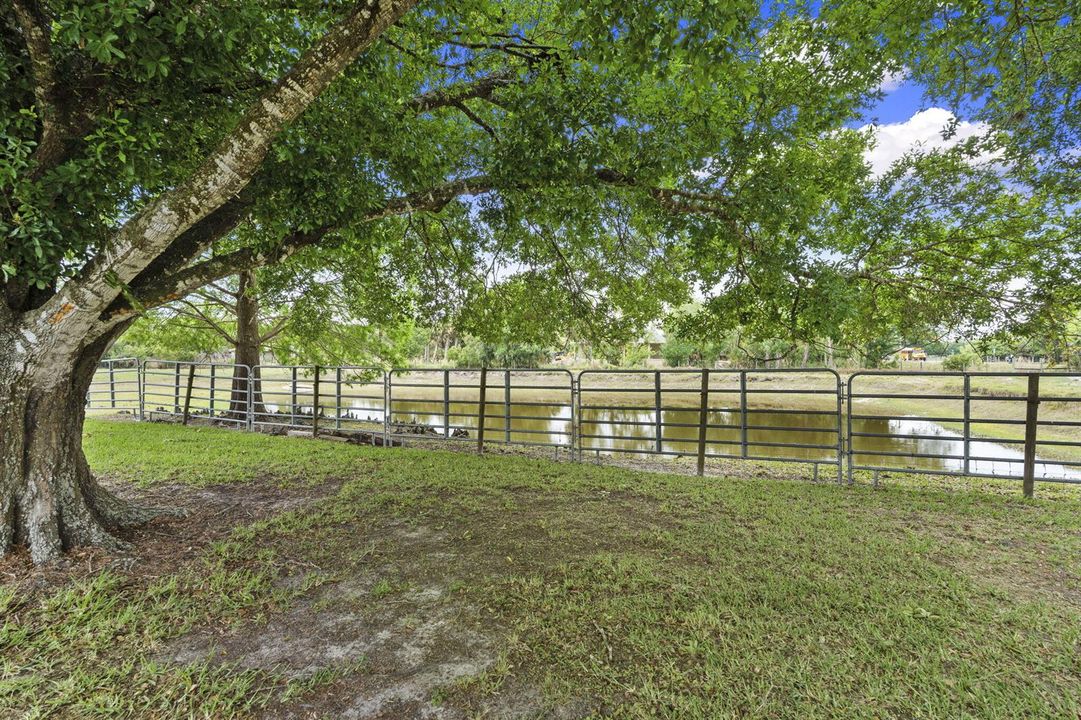 60-web-or-mls-DSC06648