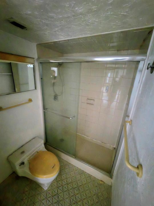 Primary Shower