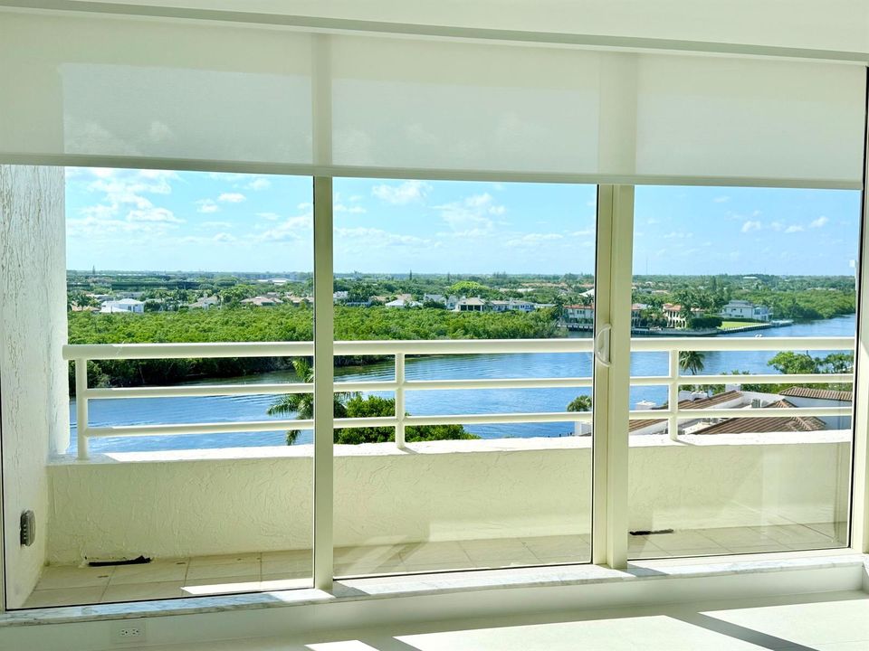 Primary View