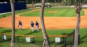 mets