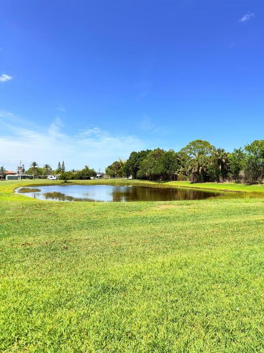 Lake view