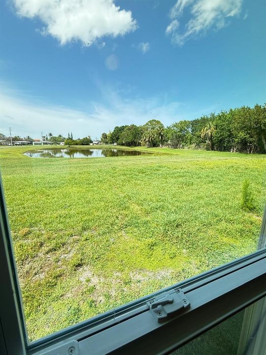 Lake view